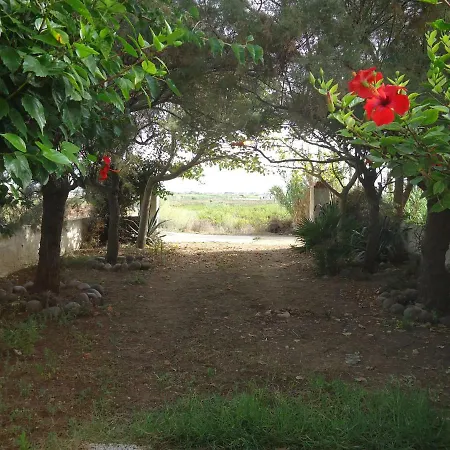 Panorama פטרוזינו